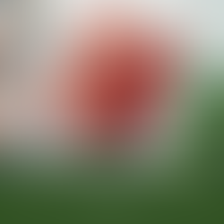 How We Generated Sales For A Bootstrapped Meat Delivery Startup Through Digital Marketing