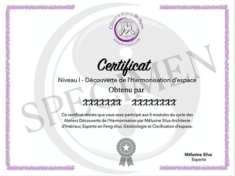Certificat Formation M-COSI N1 Specimen.