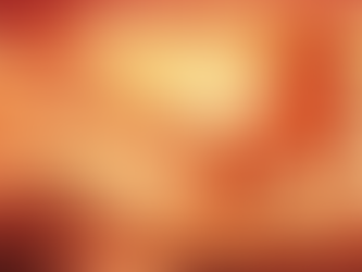 Cheval de feu Feng shui 