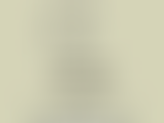 Profesyonel Hukuki Destek: Özel İnfaz Yasası, İnfaz Erteleme, Hafta Sonu İnfaz