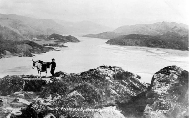 Taking Clogau gold to town 1895.jpg