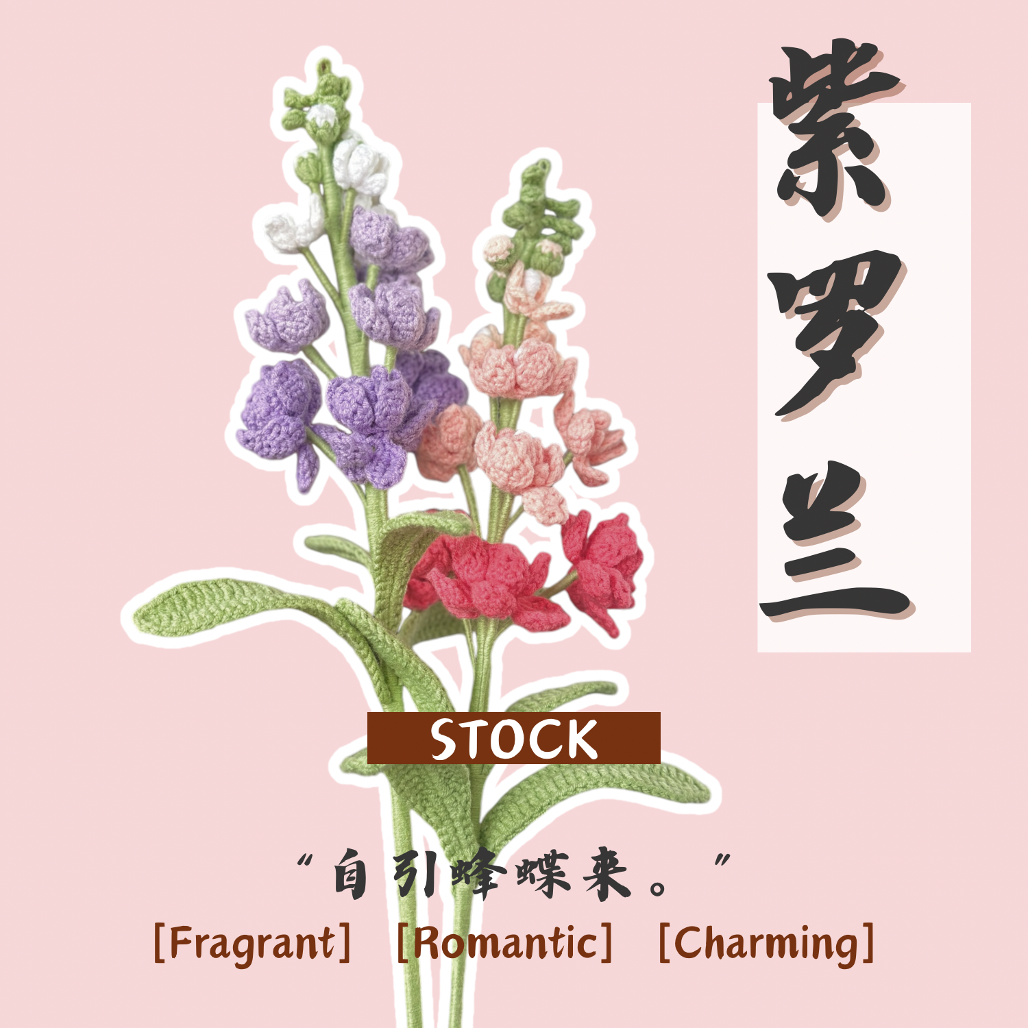 Stock 紫罗兰