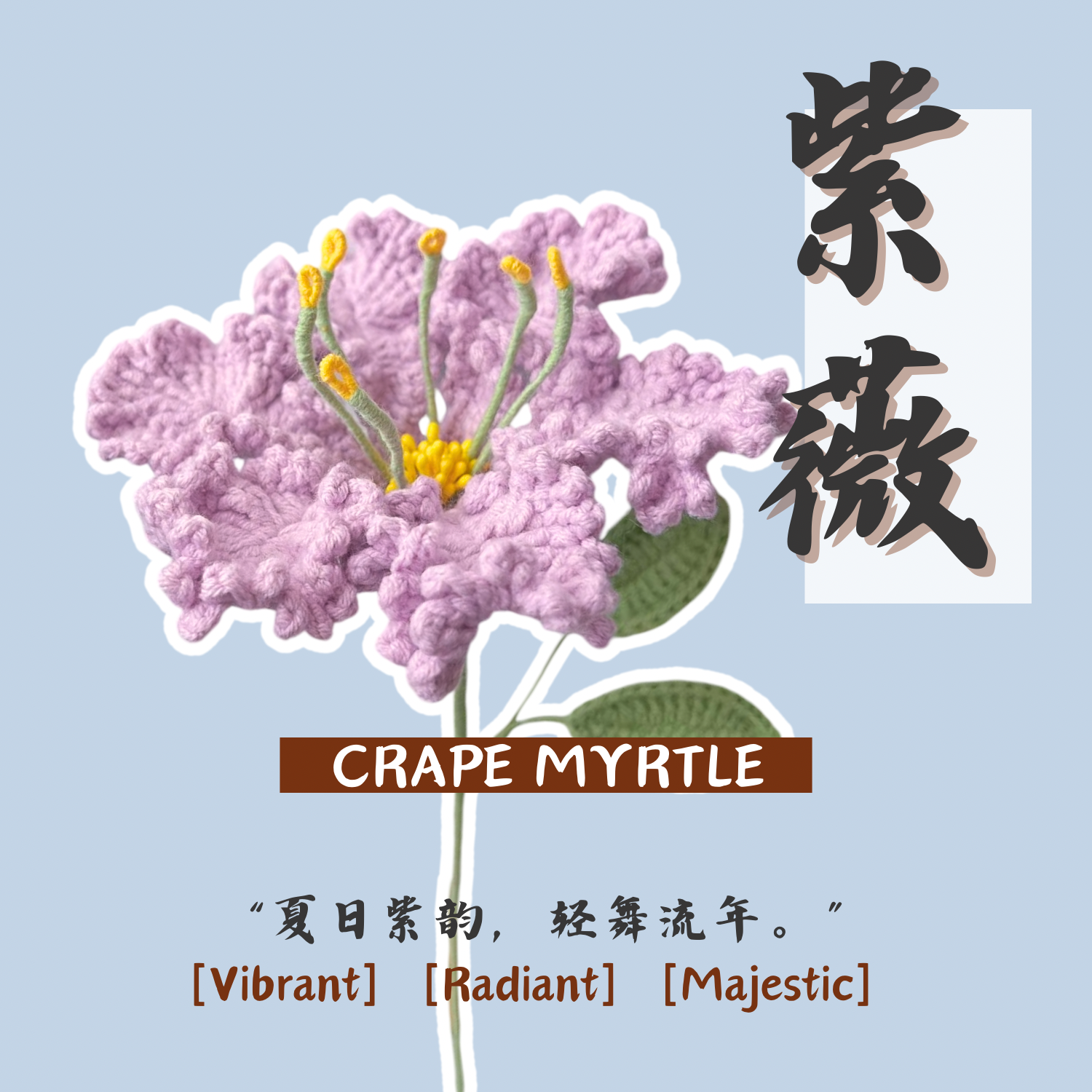 Crape Myrtle 紫薇