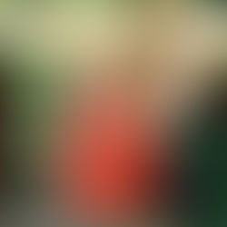 Tropical Watermelon Lemonade Punch