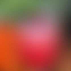 Triple Berry Margarita