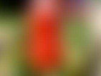 Strawberry Daiquiri with Strawberries and Cream Whip