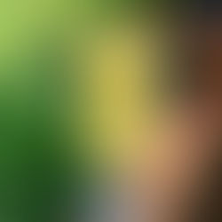 Frozen Pineapple Mango Daiquiri