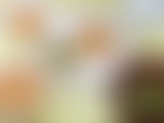 今日の給食 12/20