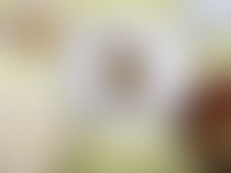 今日の給食 1/16