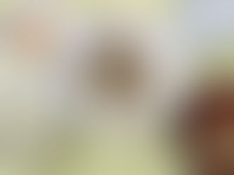 今日の給食 11/20