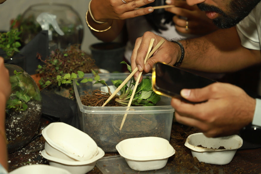 Build a Terrarium with ByTheLeaf