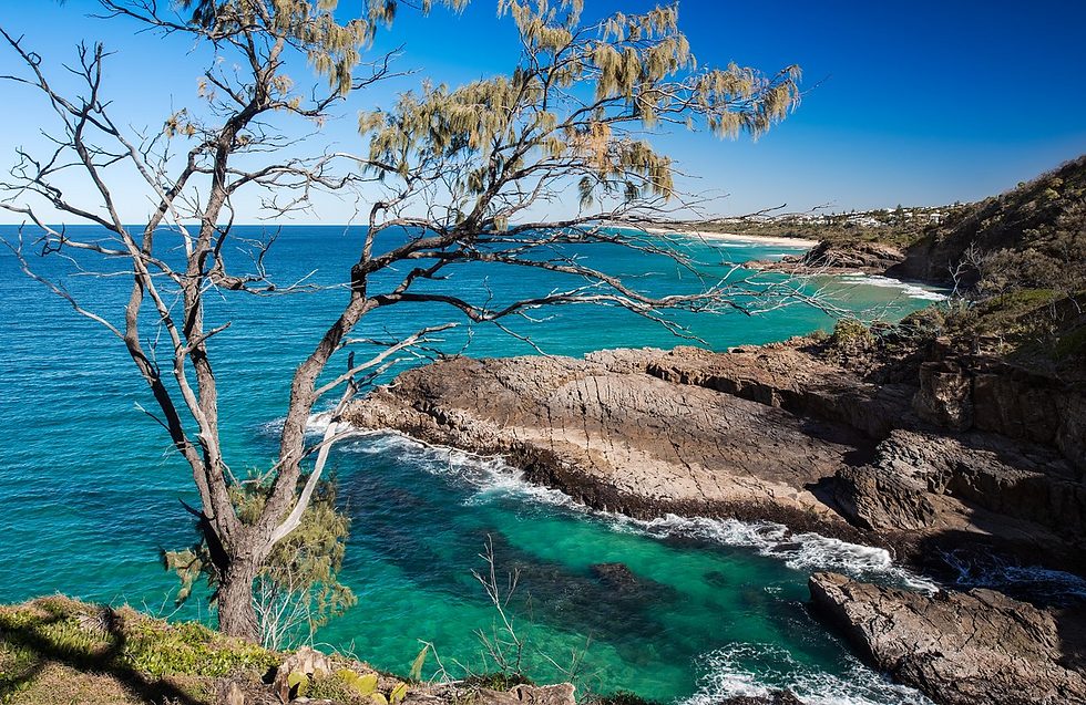 My Top Rated Movement & Wellness Studio's on the Sunshine Coast. 