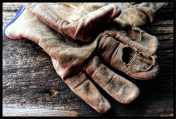 Work Gloves