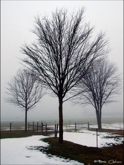SNOW FOG