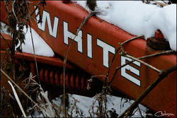 SNOW WHITE