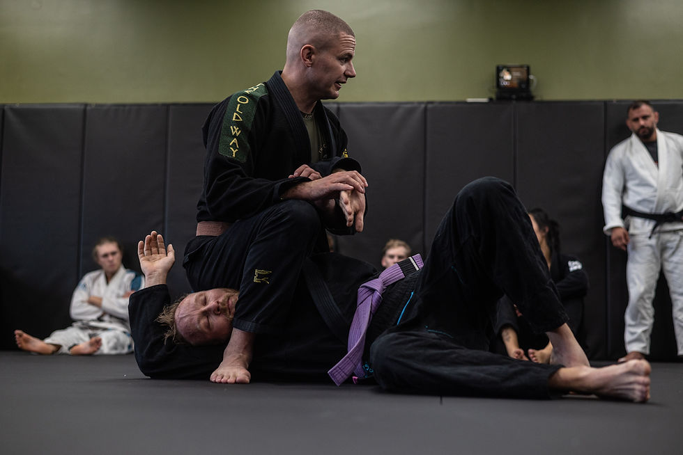 Revoy, Instructor Demonstrating a Kimura