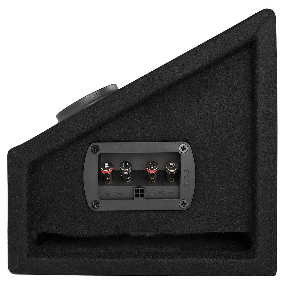 Küçük resim: MAD PB1-48 | GAS MAD Serisi 20 cm Kutulu Midrange