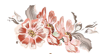 set-vector-baroque-ornaments-flowers-133091371_edited_edited.png