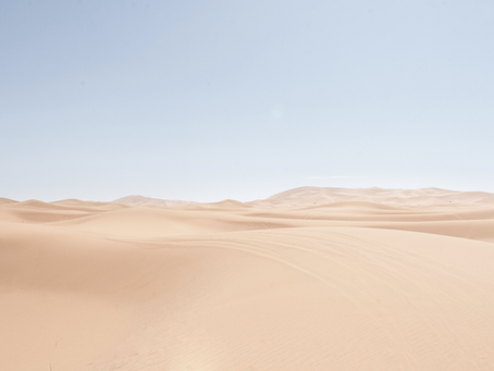Dune (2021) Review