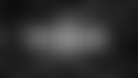 The Root Of Bitterness