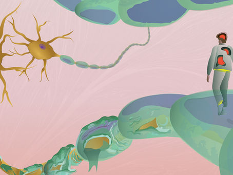 Autoimmune Diseases of the Brain: Multiple Sclerosis