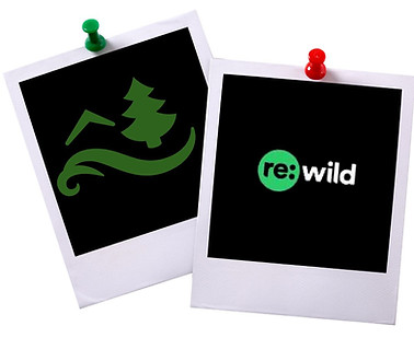 CLCC Foundation & rewild composite.jpg