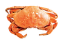 crab_KO.png