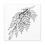 Thumbnail: Cedar Branch Pen and Ink Drawing on Matte Canvas Print