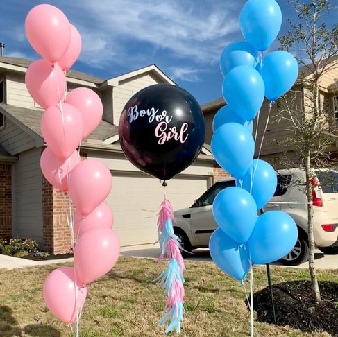 Gender Reveal