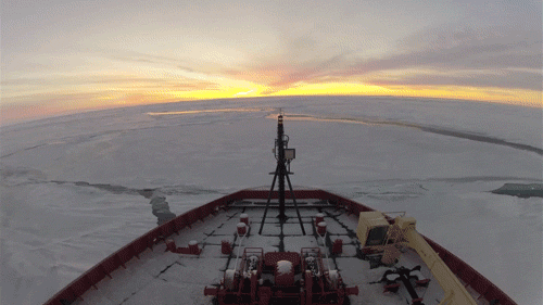 orig (2).gif