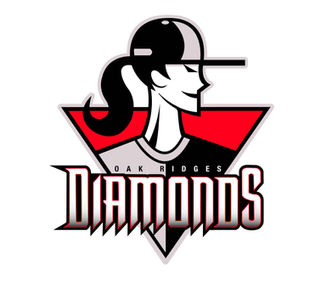 DIAMONDS WARRIOR LOGO.jpg