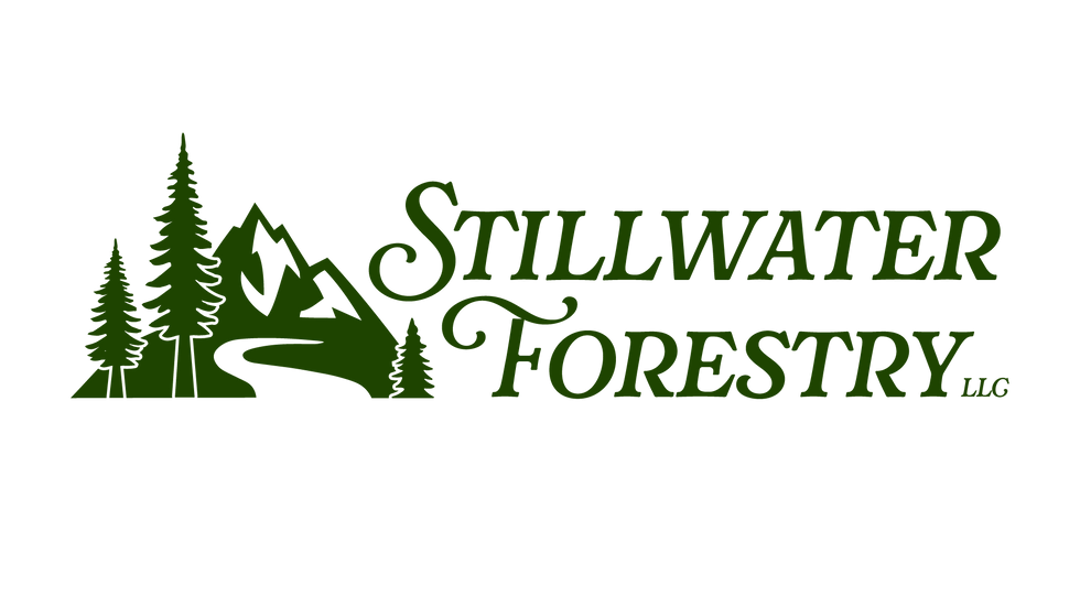 sf-logo-green-16x9 (1).png