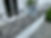 IMG_7980.jpeg