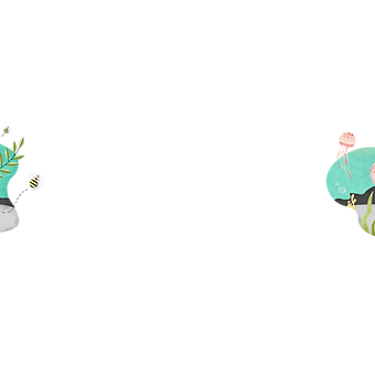 Fondo de la fauna