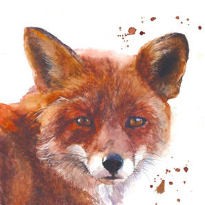 Noon Day Fox