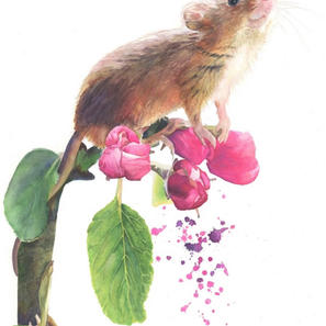 Arley Mouse