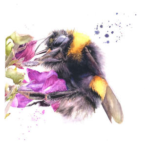 Bee