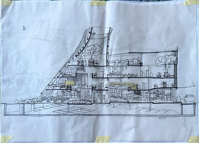 Picture19.jpg