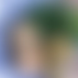 Shredded Sweet Potato Baked Egg Nests