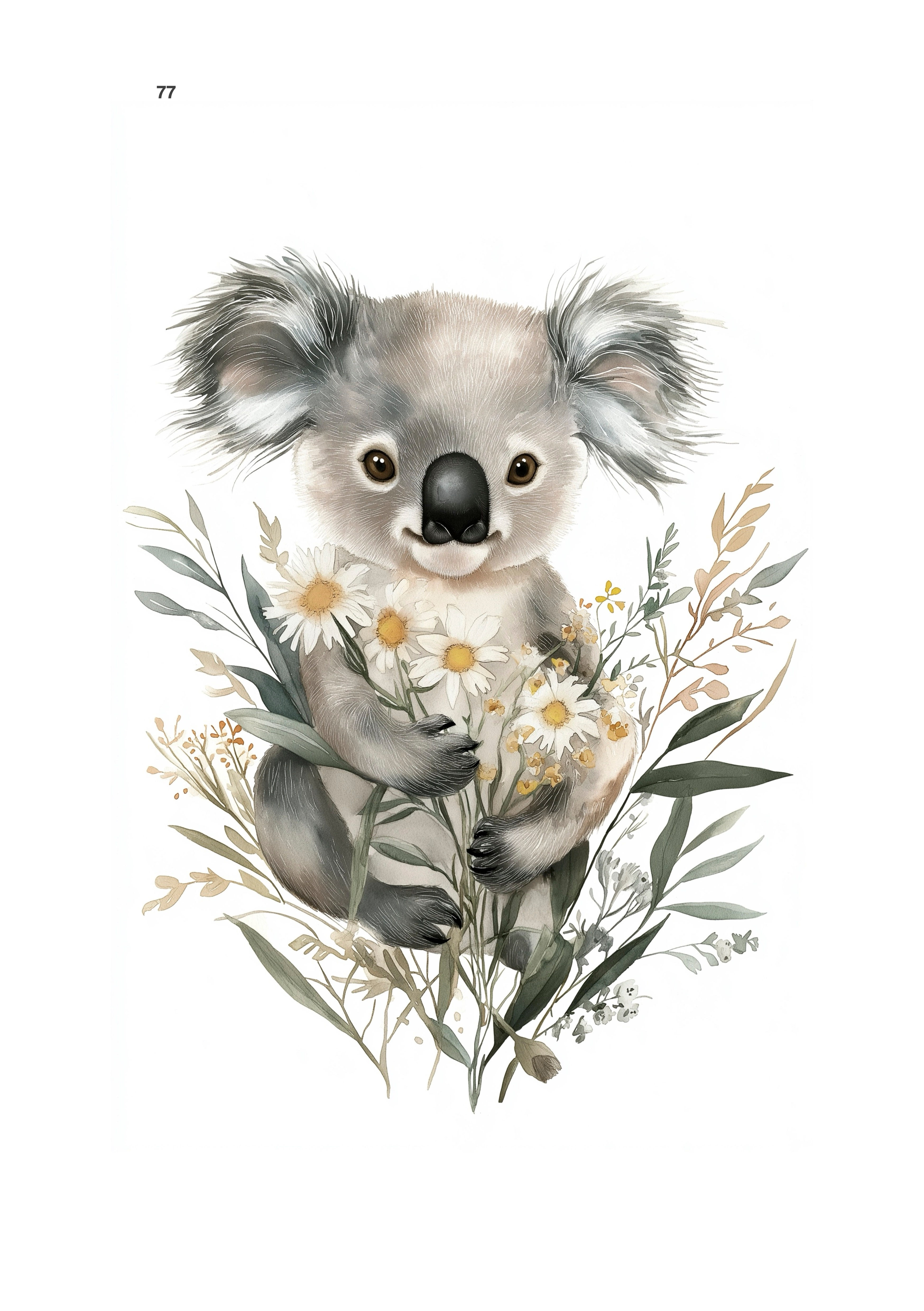 Koala