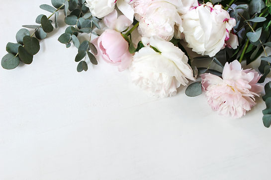 peony adobe stock license .jpeg
