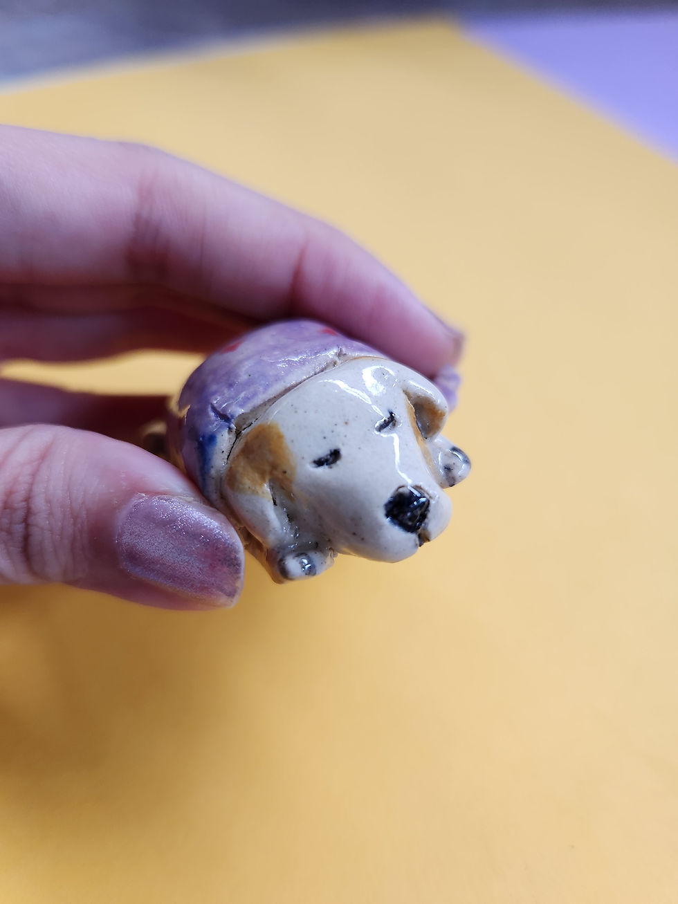 Thumbnail: Dog with a purple blanket with red hearts