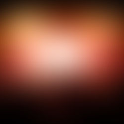 New Beginnings and Fests