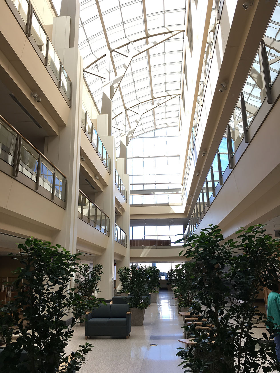 University of Vermont Medical Center