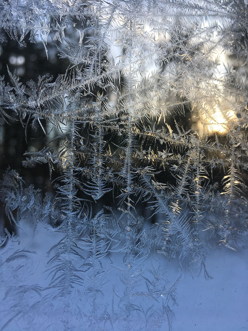 Winter Ice