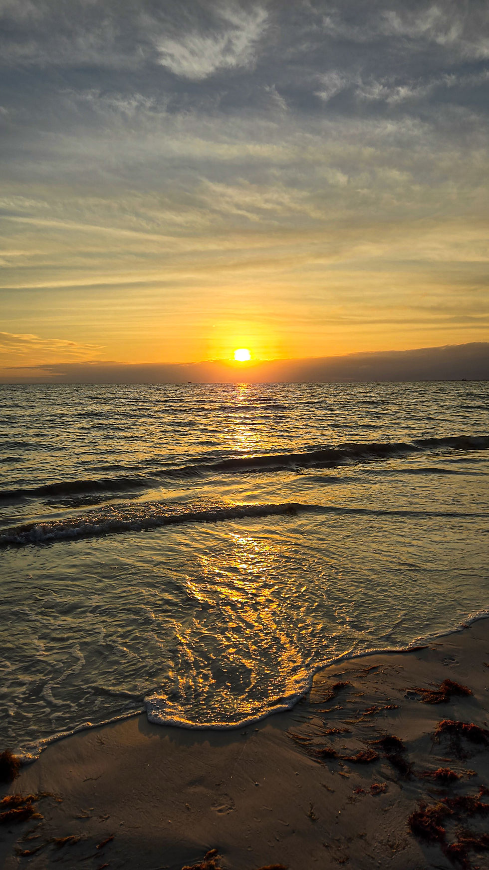 Fort Myers Beach Sanibel Island Shelling Florida Bowman's Beach Manatee Park