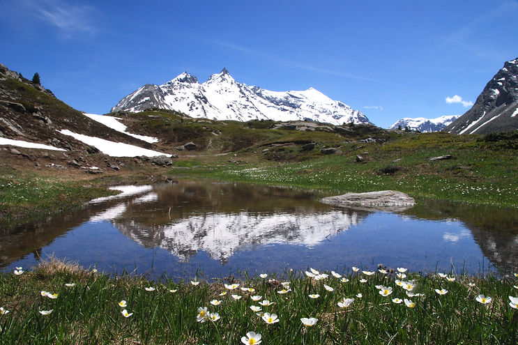 Reflet des Aiguilles d'Ambin en Haute Maurienne.