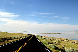 Antelope Island sur le Grand Lac Salé en Utah.