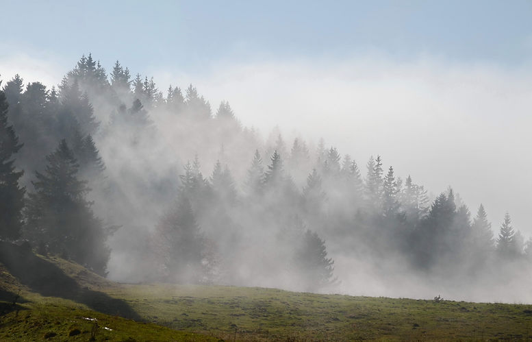 Brouillard au Revard en Savoie.