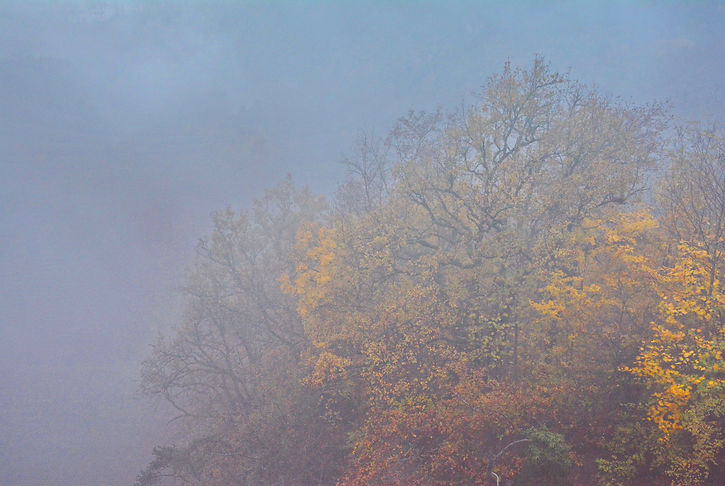 Depuis le Pont de l'Abime au pied des Bauges, regard sur l'automne.